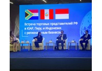 Встреча Торговых представителей РФ в зарубежных странах с представителями бизнеса Саратовской области