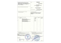 Сертификат происхождения товара BAS 2021